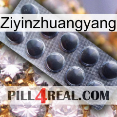 Ziyinzhuangyang 30